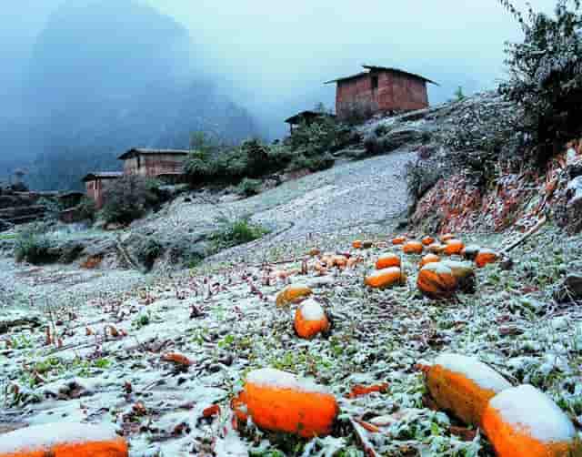 最新污水处理项目(污水处理项目实施方案)