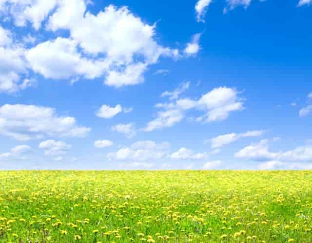 千车万人自驾中国“醉”美草原“99号公路”之旅暨《99号公路》网络微短剧项目启动