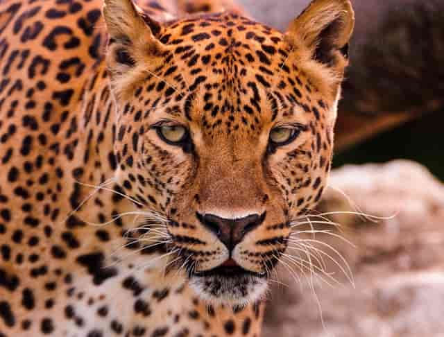 辽宁红河峡谷漂流旅游遭不公待遇 始作俑者遭调离