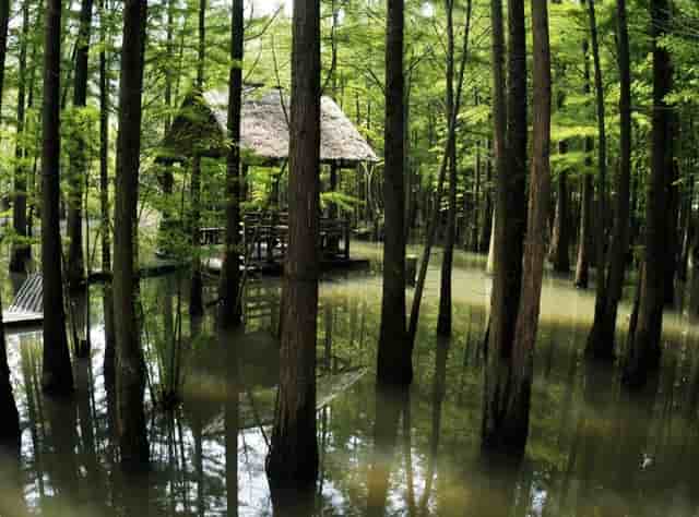 2021全国高考的第一的