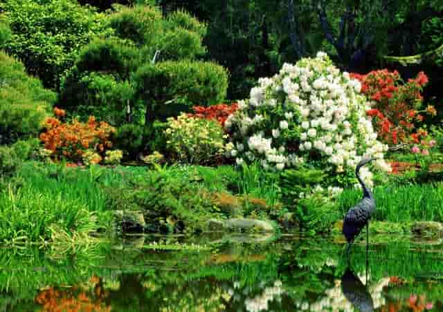 大乐透2021074开奖预测