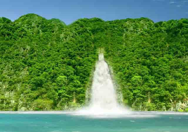 蔡嘉珍成功註冊理財規劃師，邁出專業領域新里程碑