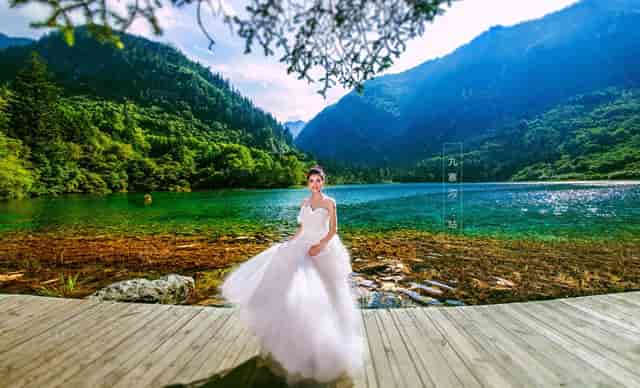 袖虎病猫攻略：怀孕养猫咪就一定会感染弓形虫吗？