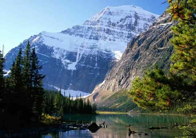 三星新手机盖乐世