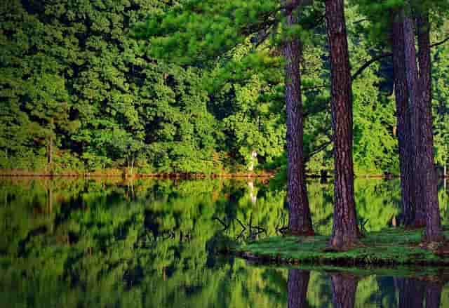 “嫦娥五号升空”背后的举国体制