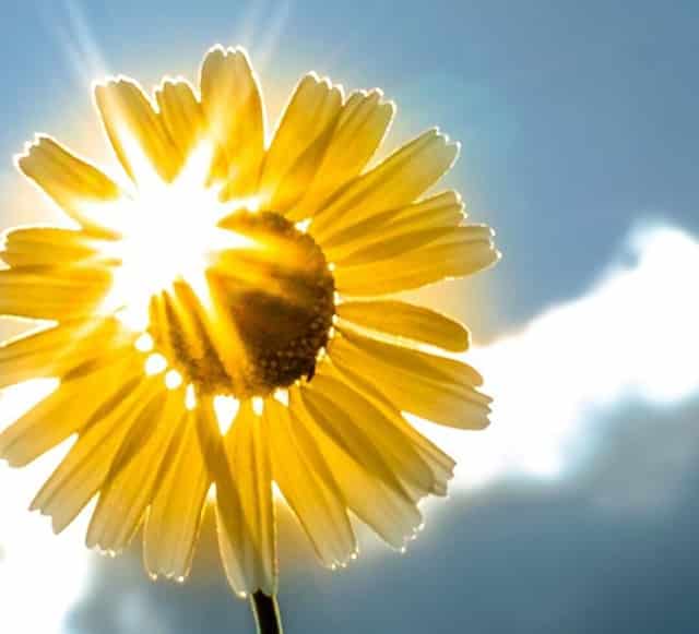 知乎携手京东、品牌商家，共创 11.11 家电家居消费指南