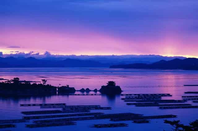 如何看abb机器人光盘