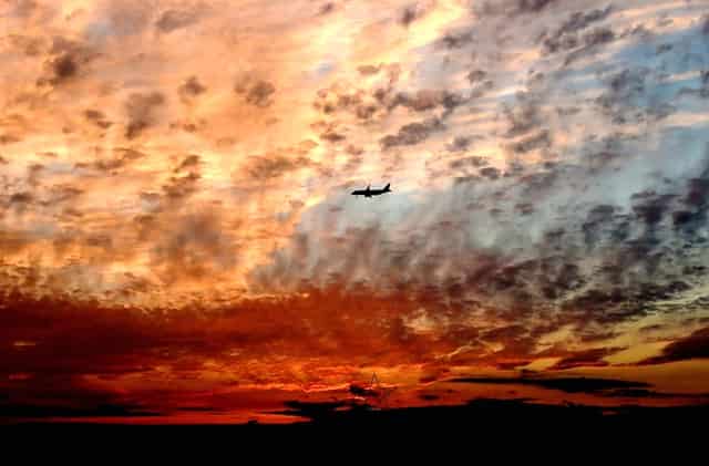 袖虎病猫攻略：猫咪口臭要注意