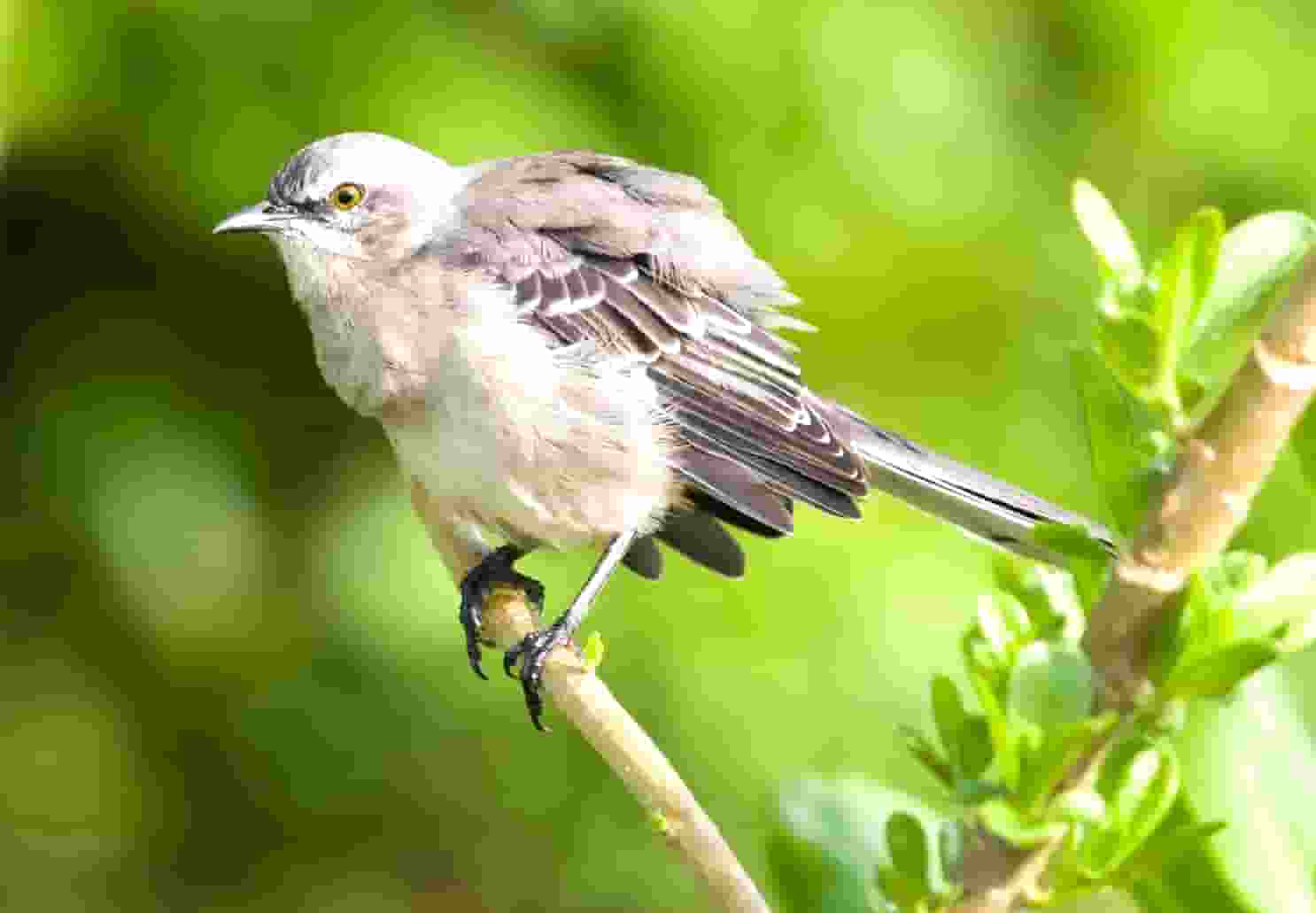 中国有关晓彤吗