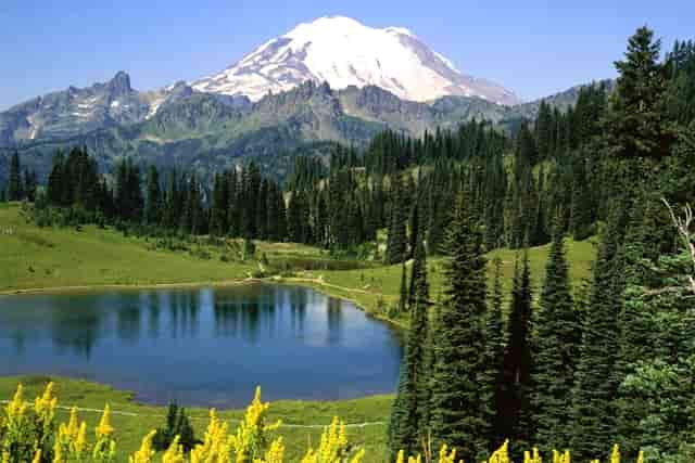 含有酒精的酒能喝吗