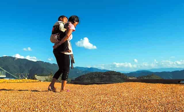 领导为啥不让我去局里