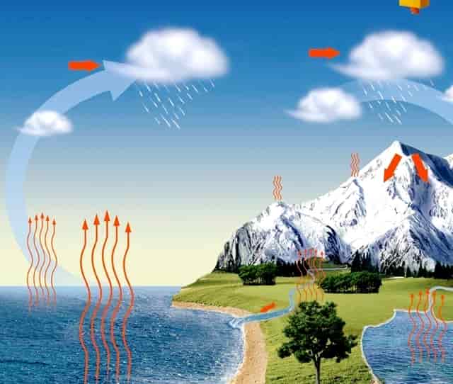 狗狗眼睛红红，袖虎知道得了什么病！