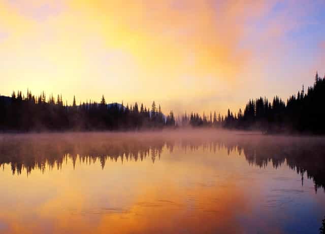 袖虎病狗攻略：据说是不治之症的狂犬病，狗狗感染有什么症状