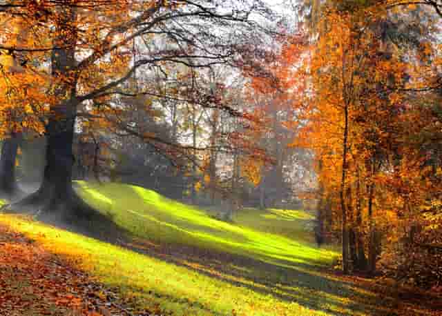 孩子中考不自律