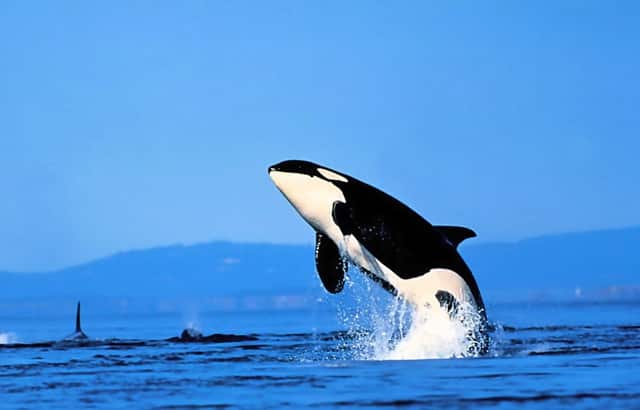 吴京谈谢楠后悔