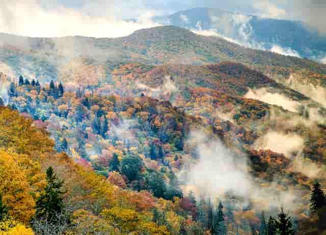 学生防溺水施救