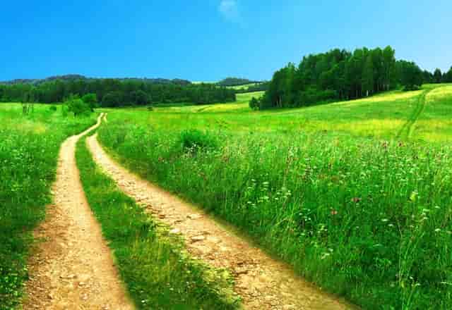 沈懿:也许在拜登就职后 中美科技战争才刚刚开始