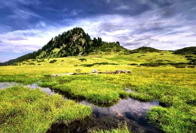 万国葡计——ZF实力演绎