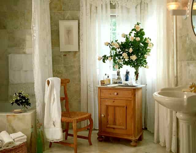 袖虎病狗攻略：狗真的都爱吃骨头吗