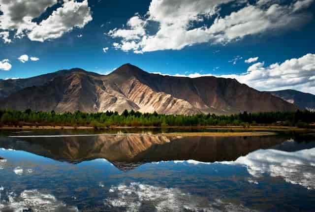 山东济南艺考文化课