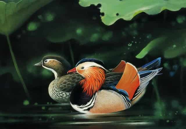 平板电脑直播间现场直播