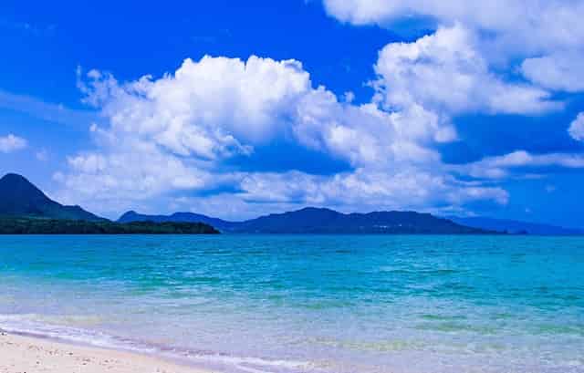 靶向药新星·拉罗替尼不限癌种（Larotrectinib，LOXO-101）