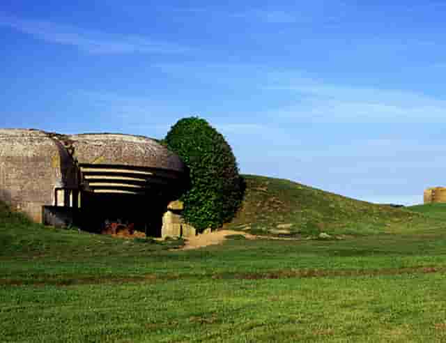 早上好图片大全漂亮(早上好图片大全漂亮的女人)