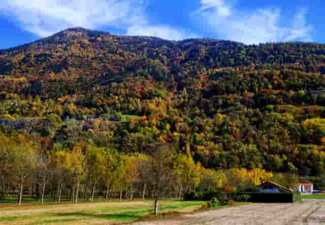 黑色白色球鞋搭配(白色球鞋怎么搭配)