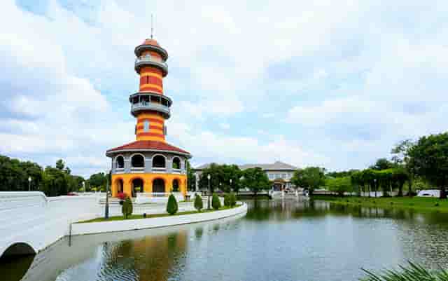 袖虎病猫攻略：猫咪刷牙攻略