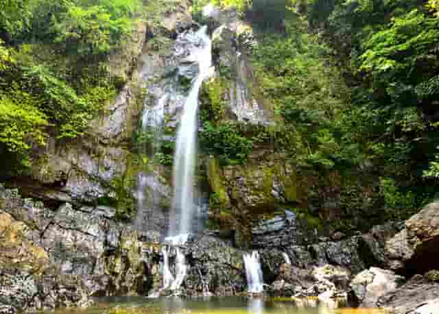 二叔vlog直播回放(李憨憨vlog日常学校直播回放)