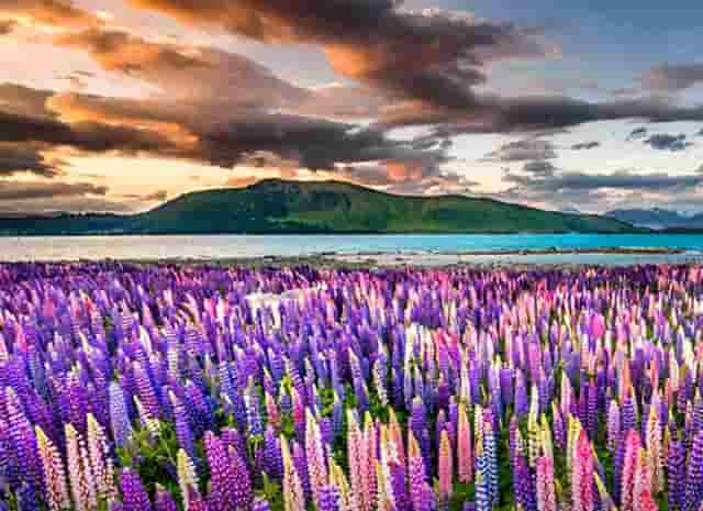 全息摹复 焕彩流丹 ——和林格尔东汉墓室壁画整体摹复及中国古代壁画的非本体再现展学术研讨会将在上海举办