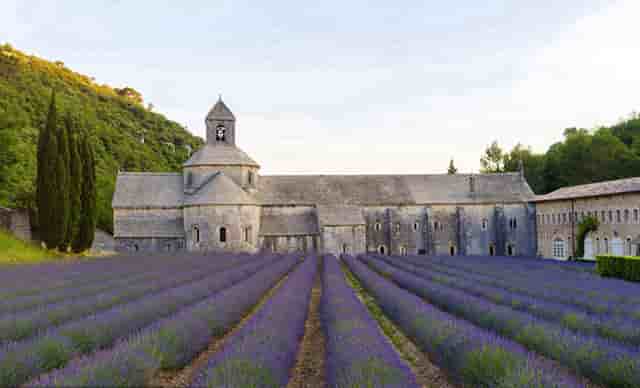 音乐剧《乳香飘（暂定名）》研讨会在内蒙古文联召开