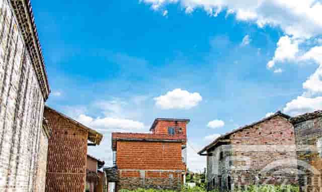 袖虎病狗攻略：狗的几种常见皮肤病，你都知道吗？