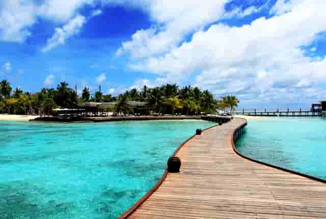 袖虎病猫攻略：人吃的药能喂猫吗？