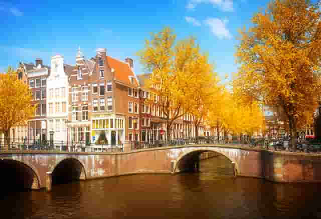 灭火疫苗为什么有反应(8个月的疫苗为什么反应那么大)