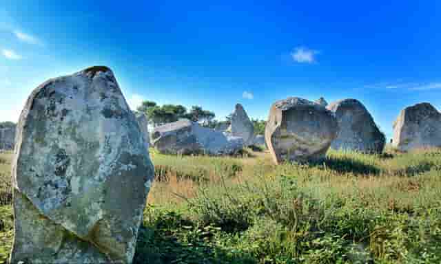 中国世界五百强企业排行榜(江苏世界五百强企业排行榜)