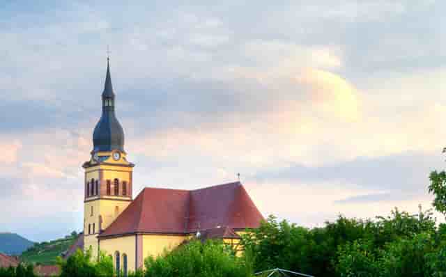 袖虎病猫攻略：小心换粮会软便！