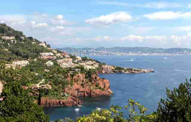 袖虎病狗攻略：哮喘的狗狗要小心