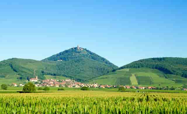 幼儿园老师一般会做些什么(幼儿园的生活老师做些什么工作)