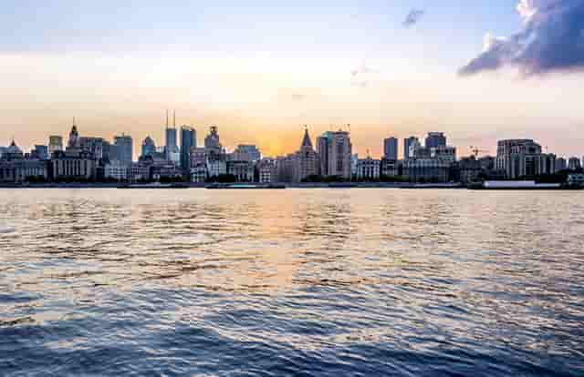 袖虎病猫攻略：感染绦虫怎么办？