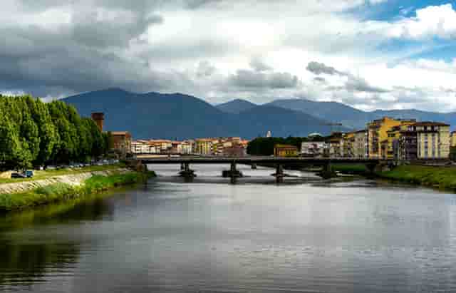 袖虎病猫攻略：猫咪便秘怎么办