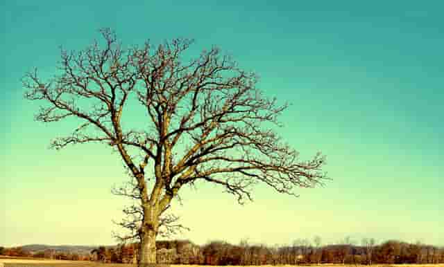 想报复男性(想报复前男友)
