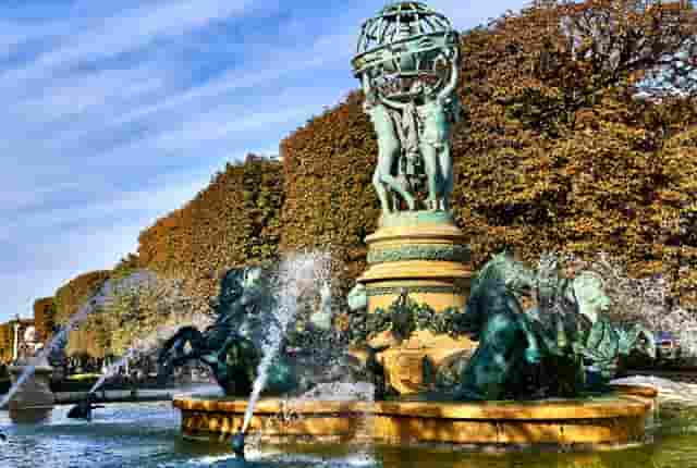 袖虎病狗攻略：狗狗身上有跳蚤怎么办