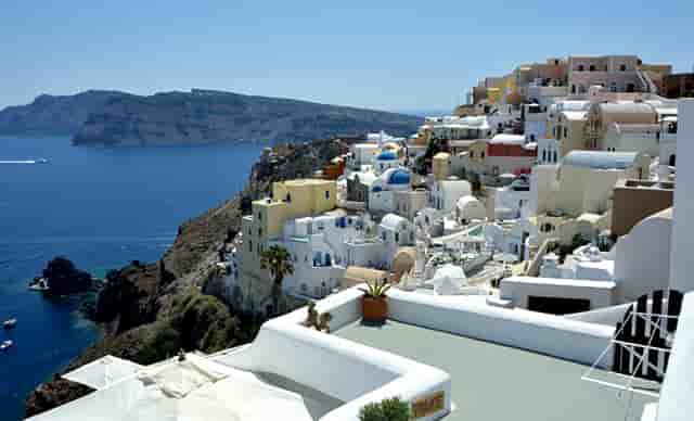 袖虎病猫攻略：猫细小的症状有哪些？