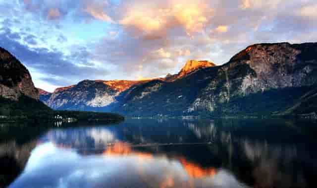 袖虎病猫攻略：猫氨的作用你知道多少？