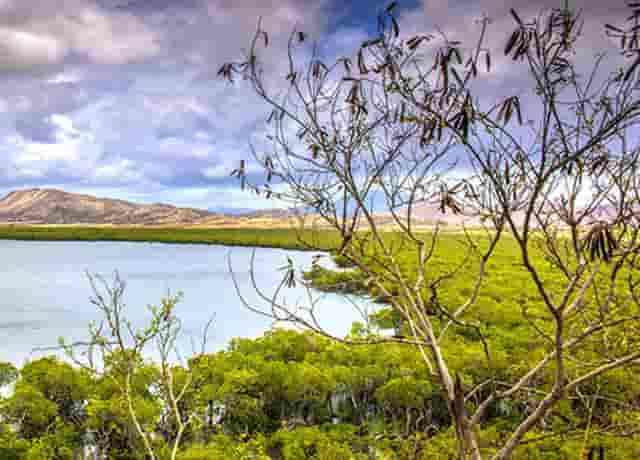 蔡嘉珍成功獲得註冊理財規劃師資格