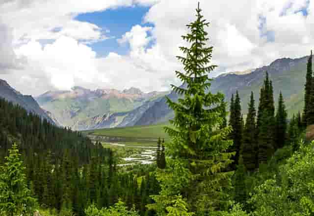 河南洪水的图片(河南发洪水了吗2020)