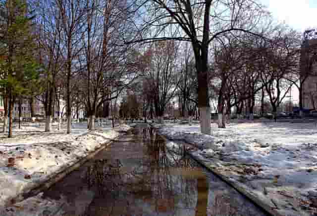 年轻人必看的运动型SUV，欧尚X5PLUS正式上市