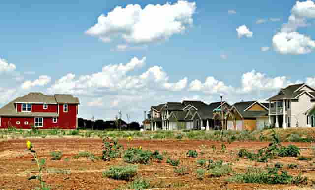 袖虎病猫攻略：猫白内障的原因你知道吗