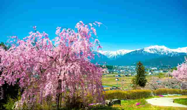 昂科威普拉斯多少钱(昂科威普拉斯汽车之家)